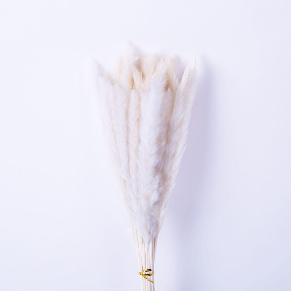 Beige Pampas Bouquet 26'' (Set Of 30)