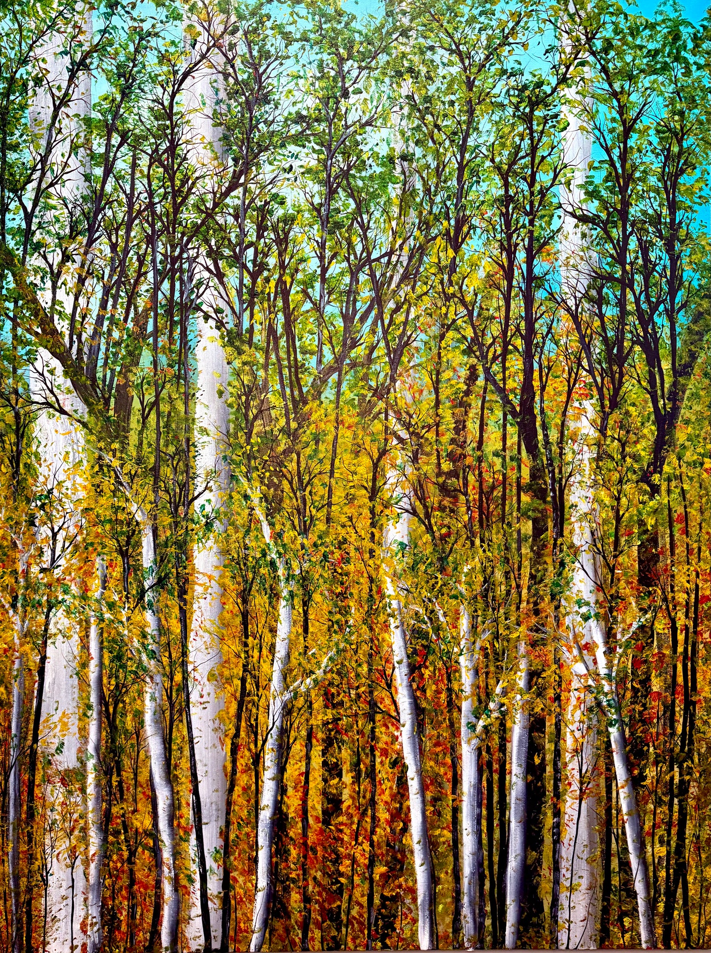 Autumn Birch