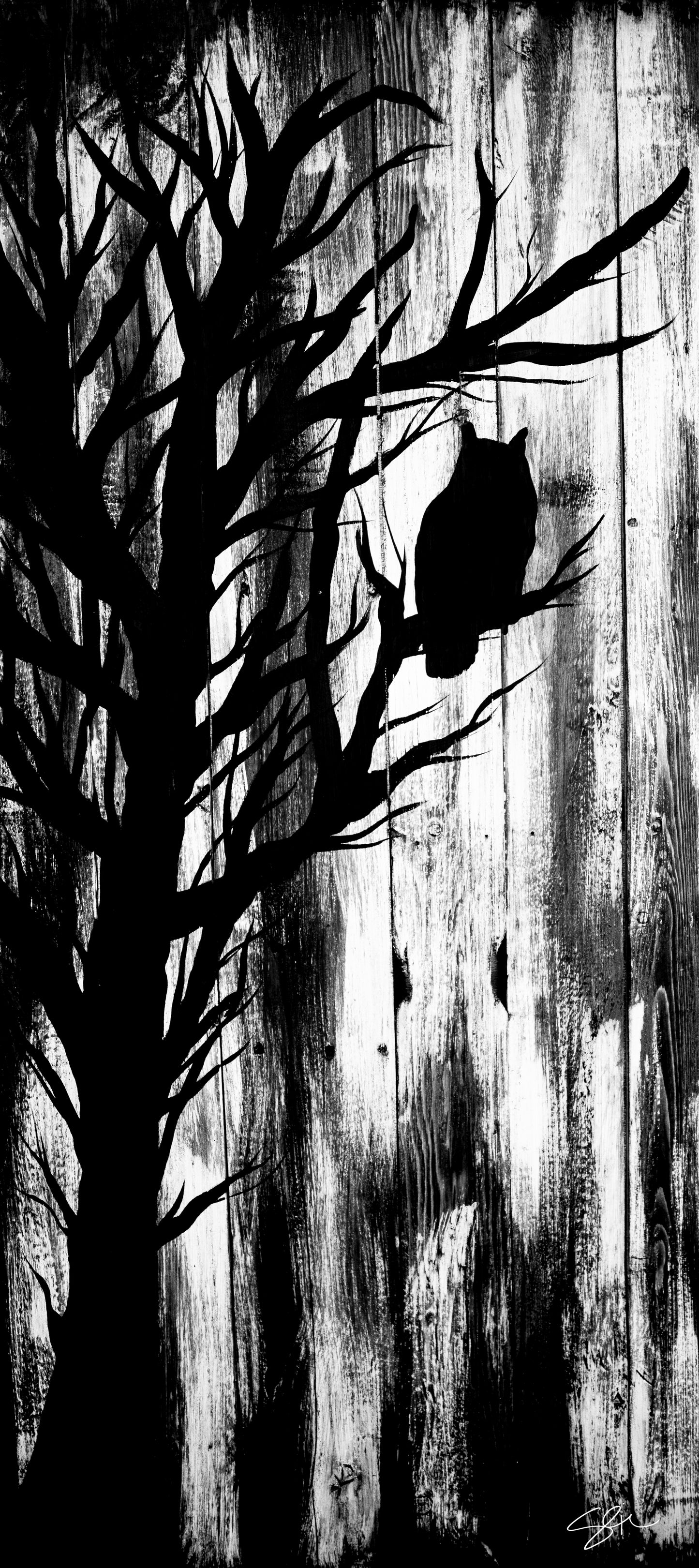 Night Owl