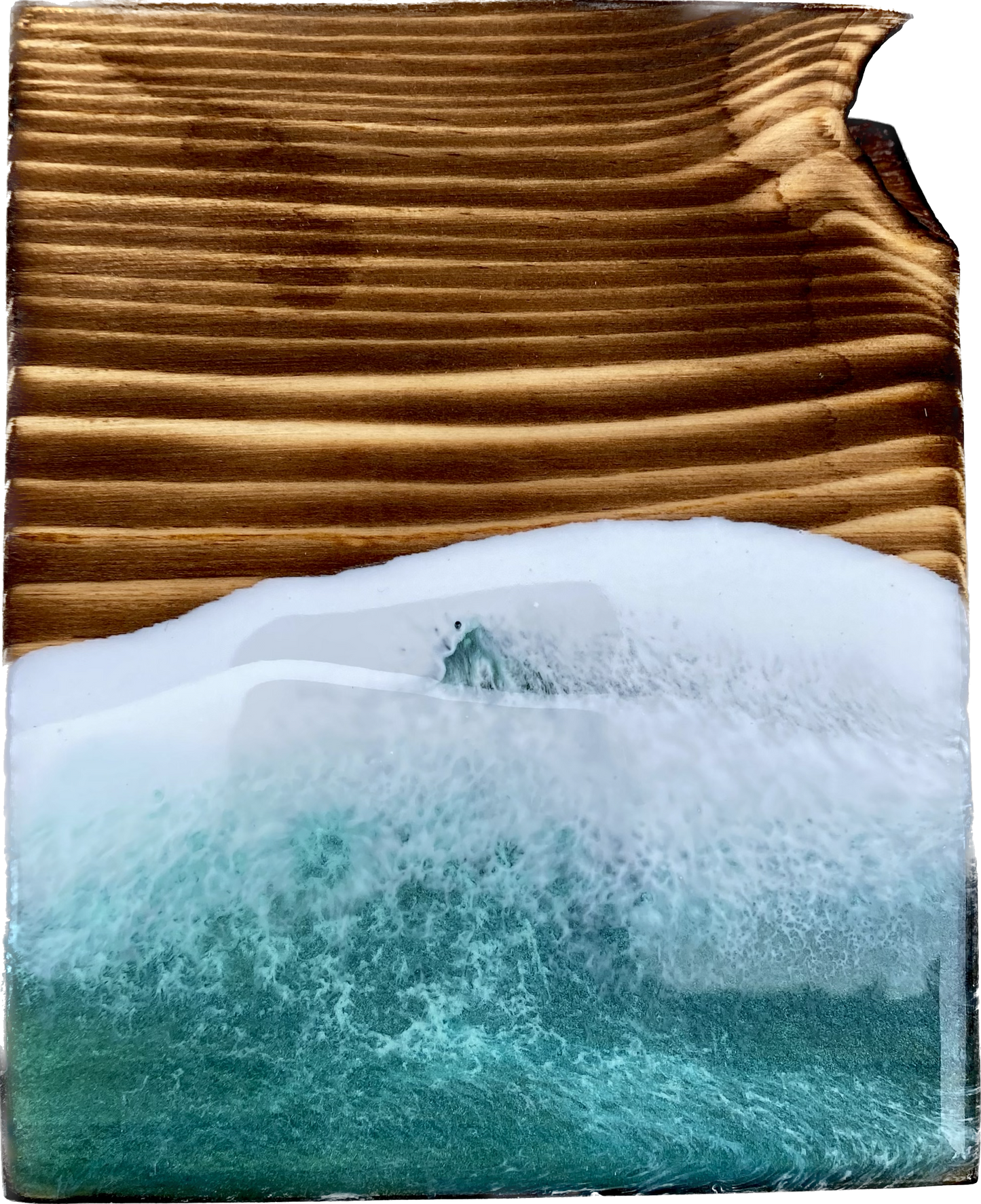 Mix n Match Ocean