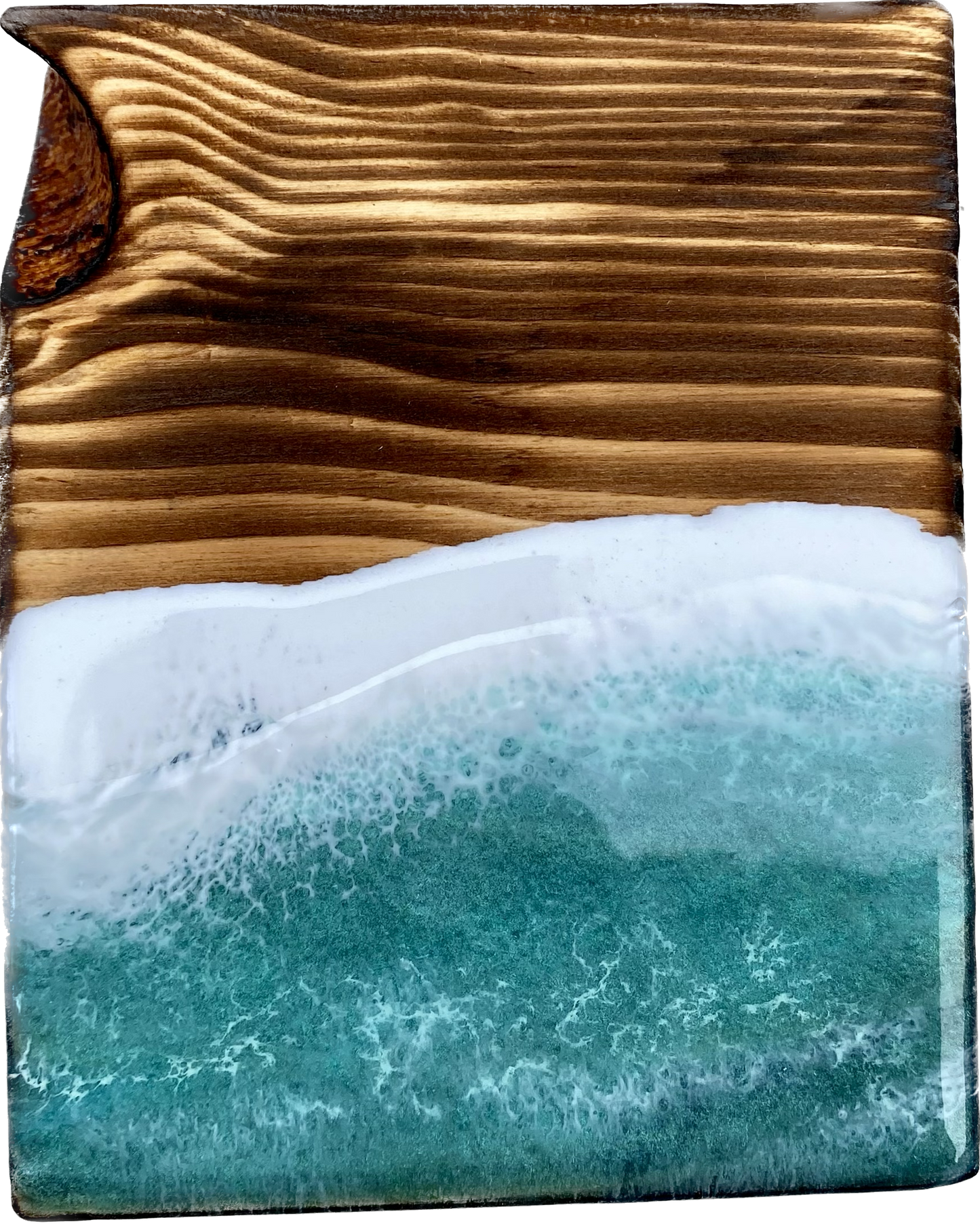 Mix n Match Ocean