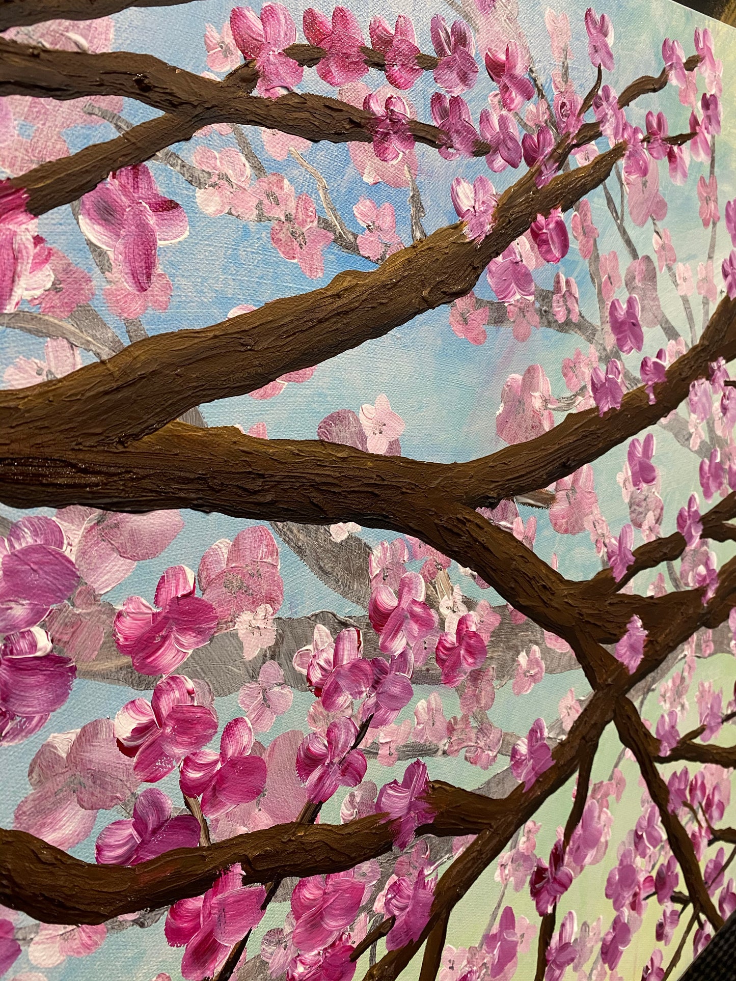 Cherry Blossom