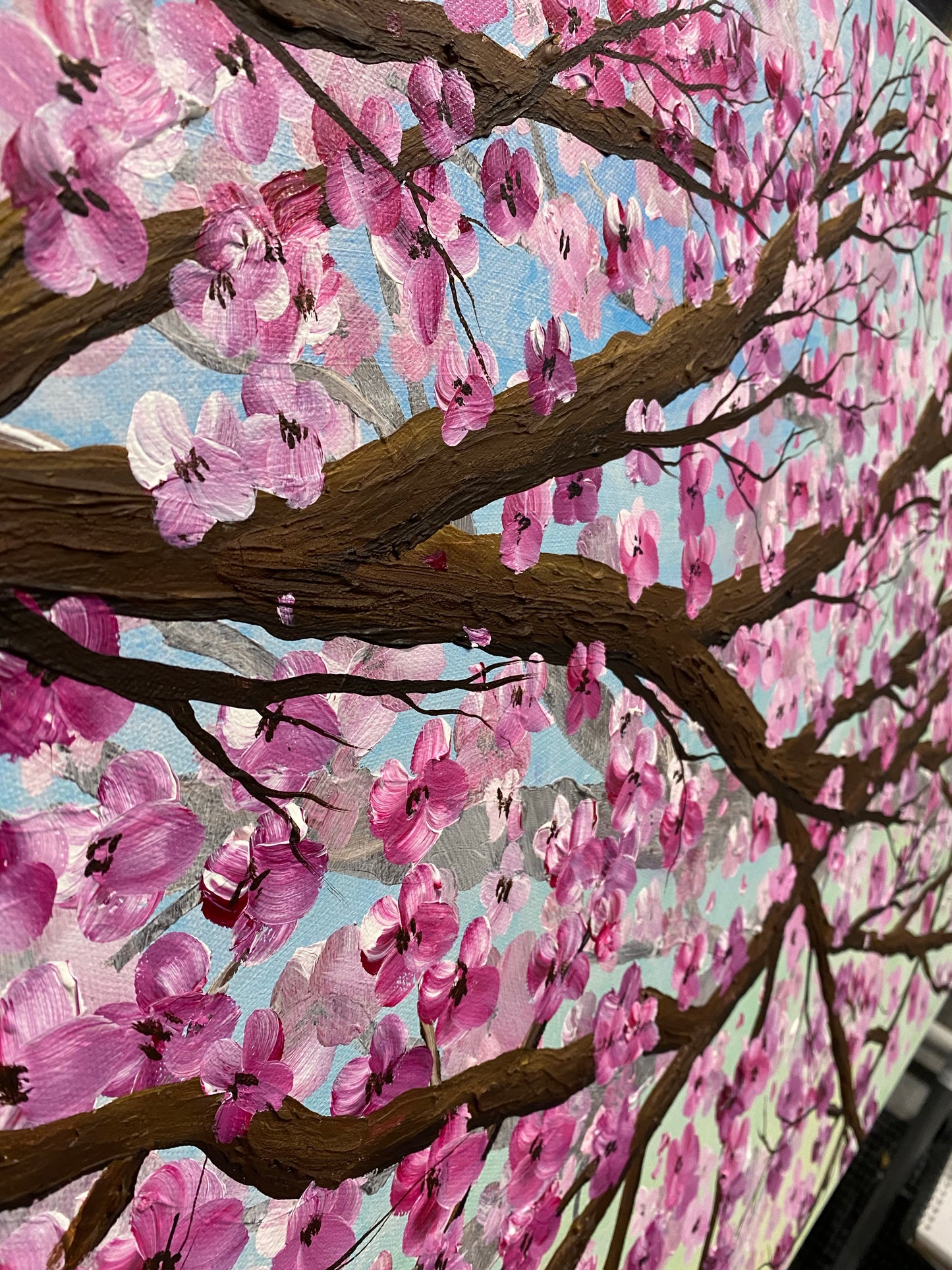 Cherry Blossom