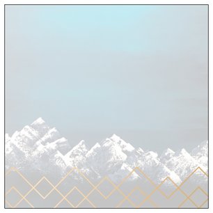 Post-it® Notes