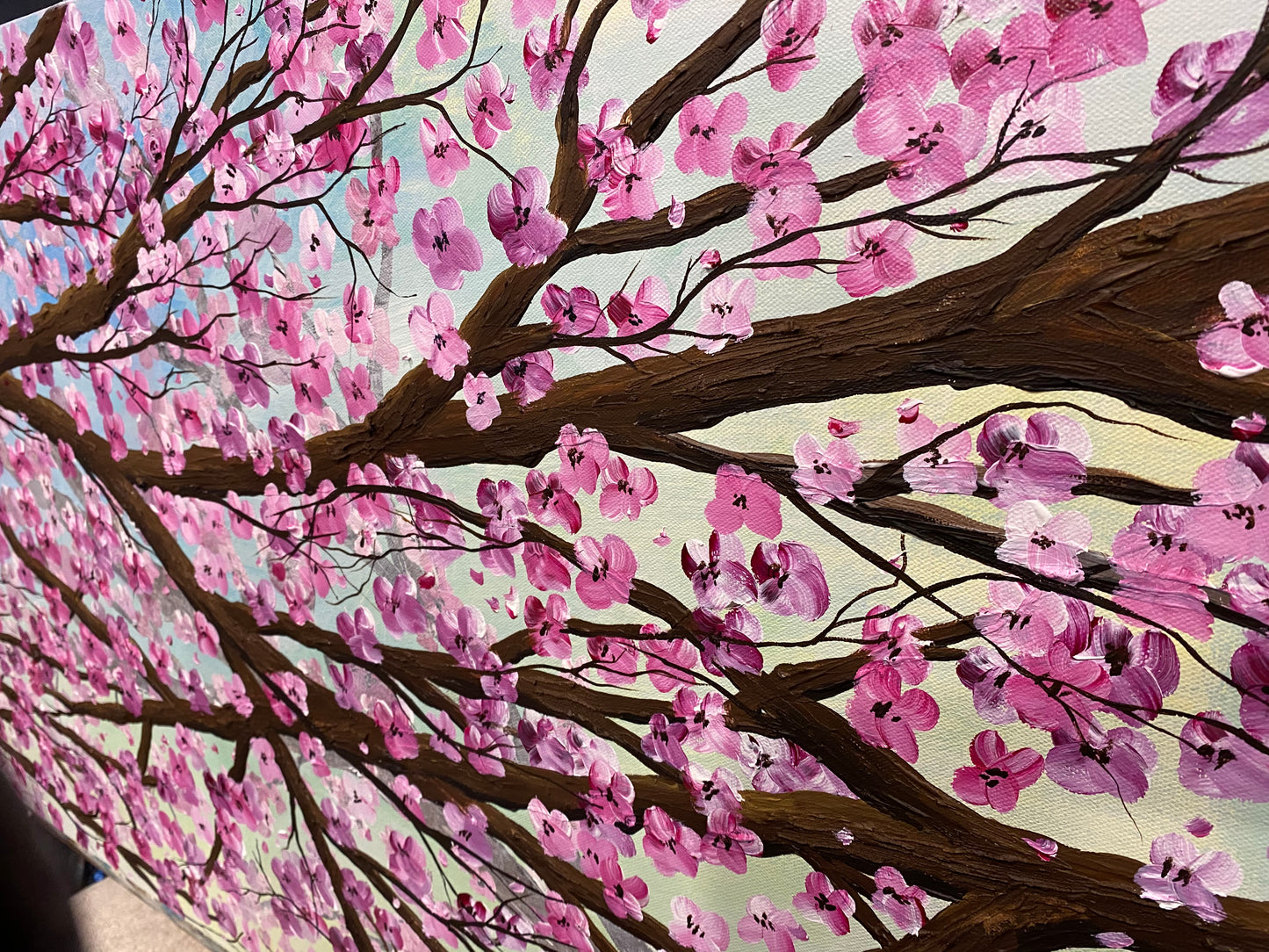 Cherry Blossom